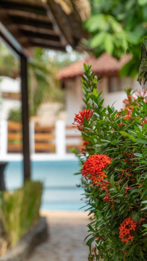 Hotel Luna Llena Tamarindo Exterior foto